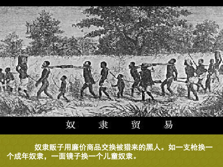 湖北省武汉为明实验学校九年级历史上册 第15课 血腥的资本积累课件 新人教版 课件_第3页