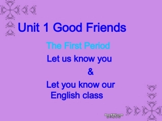 高一英语Unit1 Good friends课件 新课标 人教版 课件
