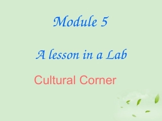 高中英语 module5 cultural corner课件外研版必修1 课件