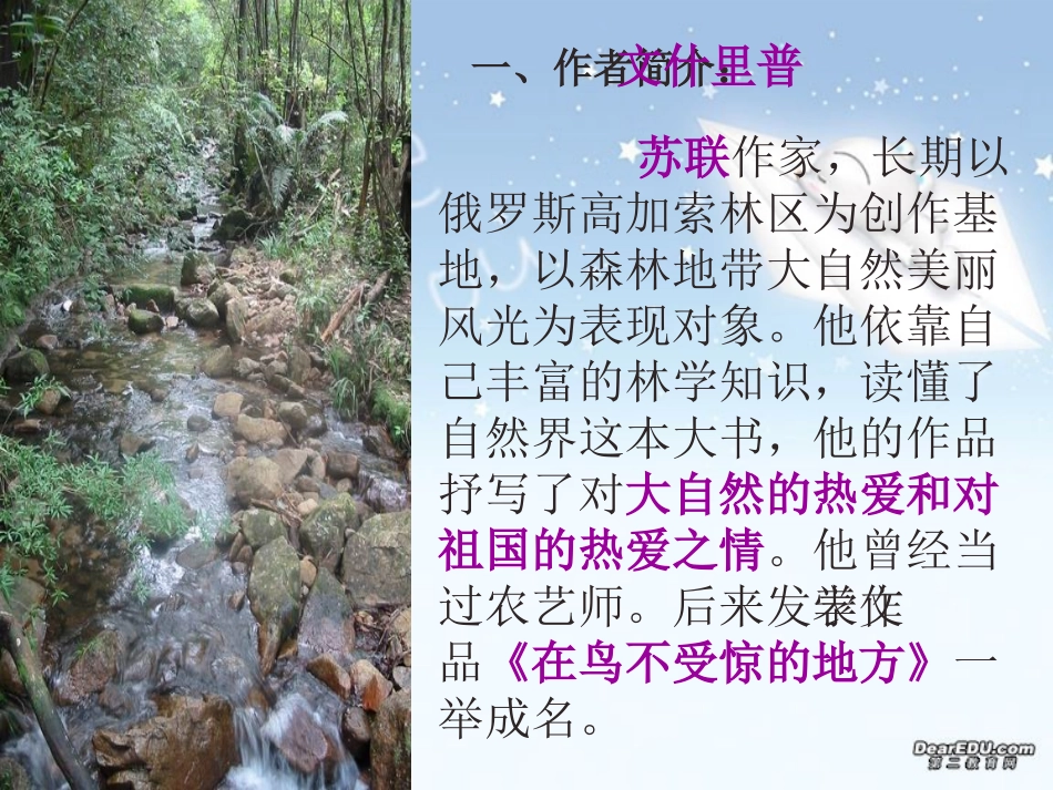 第一单元 林中小溪 课件示例二 苏教版 课件_第2页