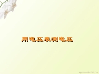 用电压表测电压 新课标 课件