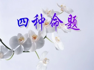 高中数学 第一章1(四种命题)课件 北师大版选修2-1 课件