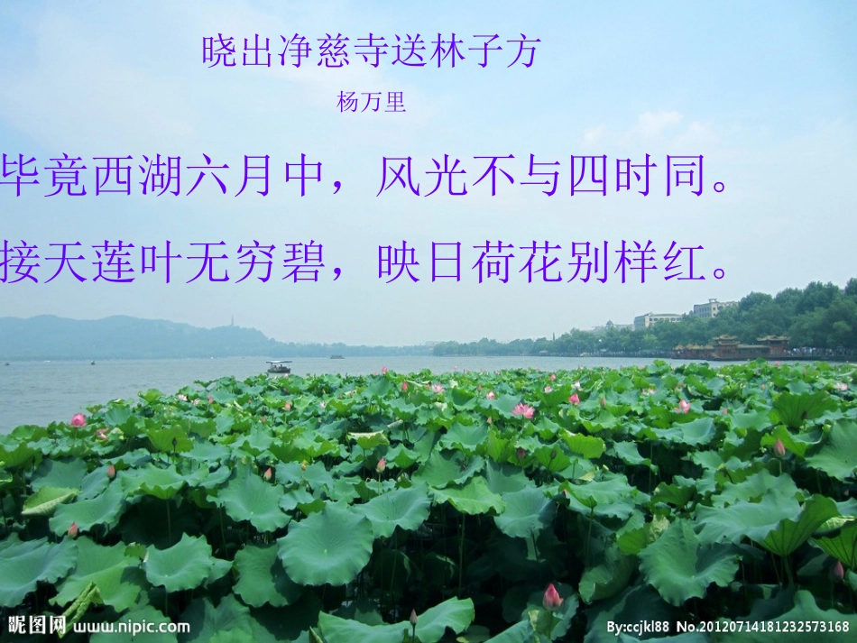 福建省永安市八年级语文上册 22(爱莲说)课件 新人教版 课件_第1页
