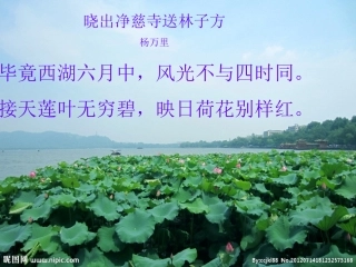 福建省永安市八年级语文上册 22(爱莲说)课件 新人教版 课件