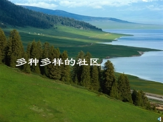 课件 多种多样的社区 七年级历史与社会上册 第二课(多种多样的社区)课件 人教新课标版