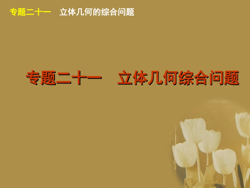 江苏省高考数学二轮复习 专题21 立体几何综合问题精品课件_第1页