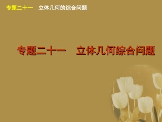 江苏省高考数学二轮复习 专题21 立体几何综合问题精品课件
