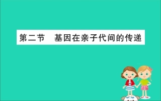 版八年级生物下册 第七单元 生物圈中生命的延续和发展 第二章 生物的遗传和变异 2 基因在亲子代间的传递训练课件 (新版)新人教版 课件