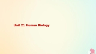 英语 Unit 21 Human Biology SectionⅠWarm up  Lesson 1 Super Athletes课件 北师大版选修7 课件