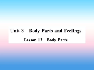 秋七年级英语上册 Unit 3 Body Parts and Feelings Lesson 13 Body Parts课件 (新版)冀教版 课件