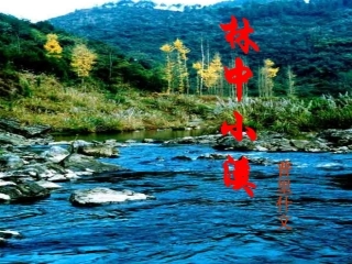 第一单元 林中小溪 课件示例一 苏教版 课件