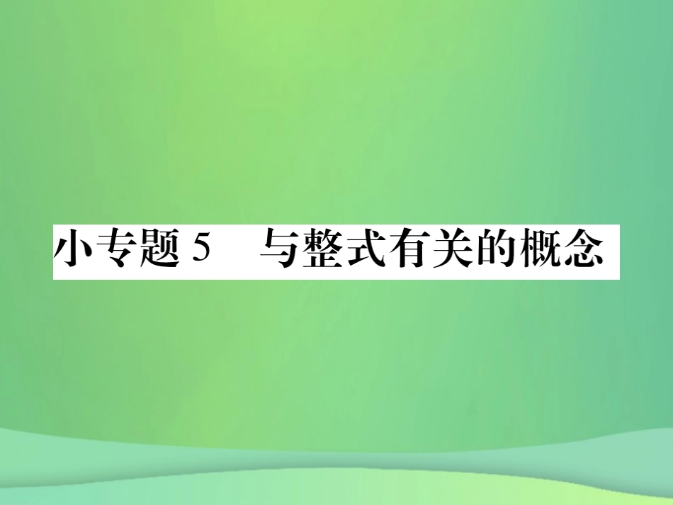 秋七年级数学上册 小专卷5 与整式有关的概念课件 (新版)华东师大版 课件_第1页