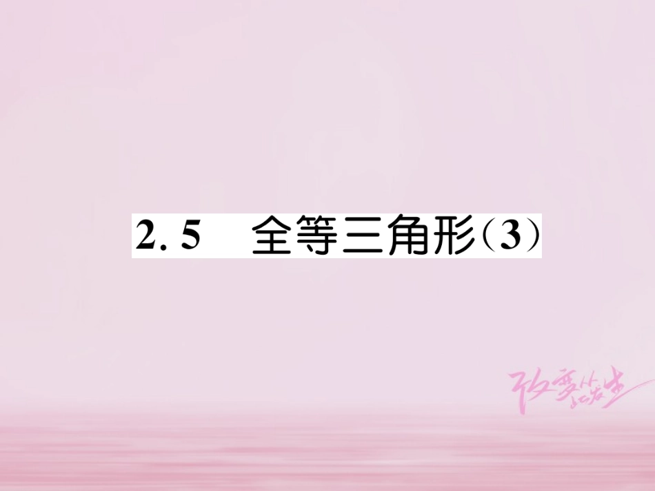 秋八年级数学上册 第2章 三角形 2.5 全等三角形(3)练习课件 (新版)湘教版 课件_第1页