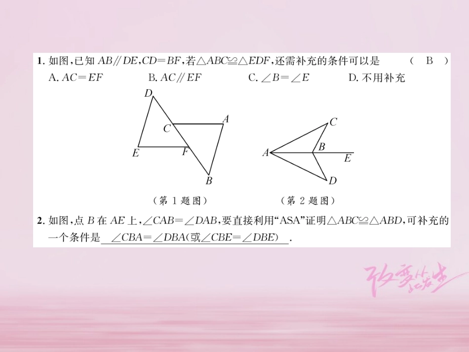 秋八年级数学上册 第2章 三角形 2.5 全等三角形(3)练习课件 (新版)湘教版 课件_第2页