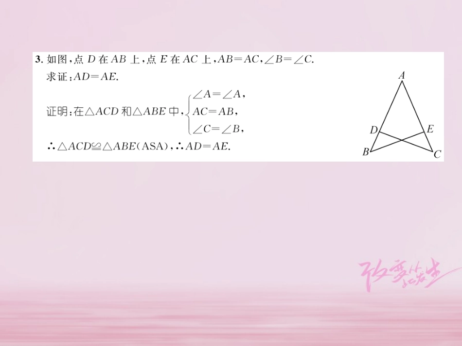 秋八年级数学上册 第2章 三角形 2.5 全等三角形(3)练习课件 (新版)湘教版 课件_第3页