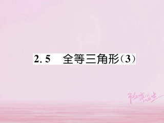 秋八年级数学上册 第2章 三角形 2.5 全等三角形(3)练习课件 (新版)湘教版 课件
