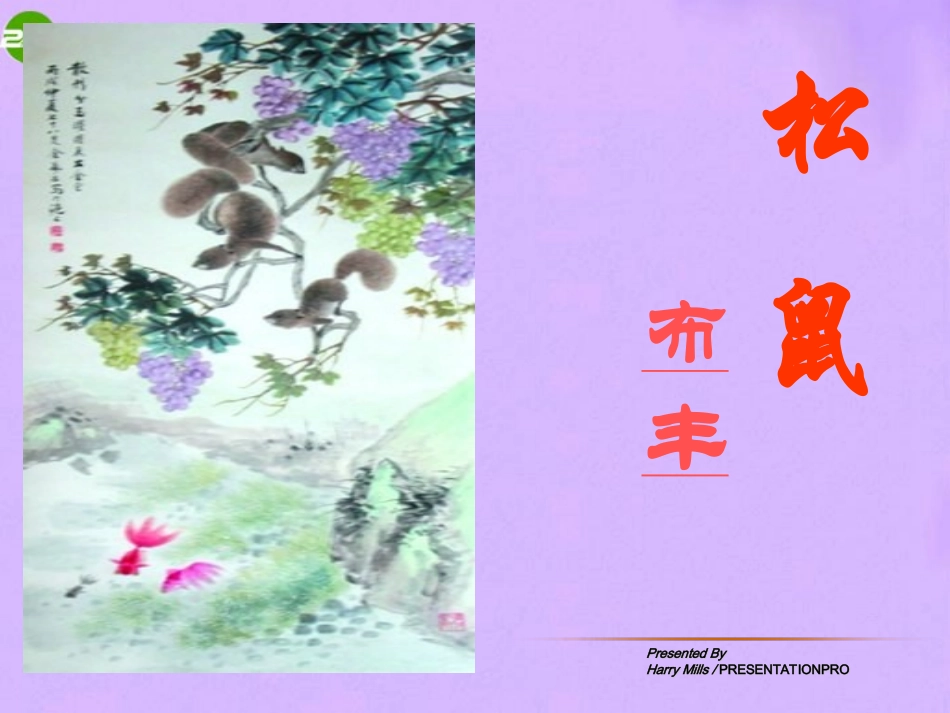 江苏省地区七年级语文下册 松鼠课件 人教新课标版 课件_第2页