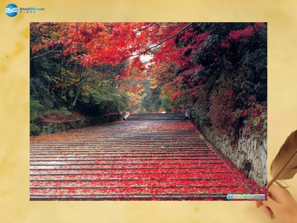 秋七年级语文上册 14 秋天课件 (新版)新人教版 教案-2_第1页