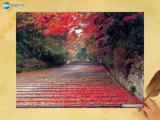 秋七年级语文上册 14 秋天课件 (新版)新人教版 教案-2