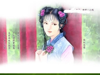 青海省西宁市沈那中学九年级语文上册 20 香菱学诗课件 新人教版 课件