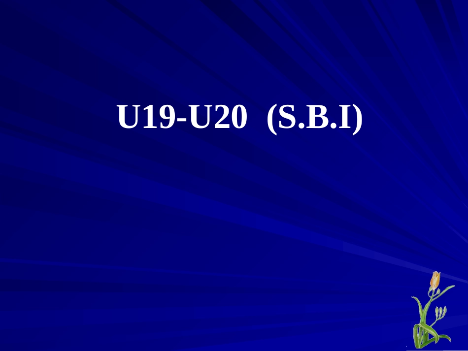 高三英语第一轮复习senior English 1B Unit19 and Unit题 试题_第1页