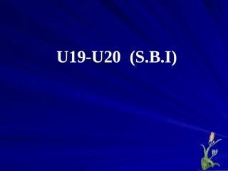 高三英语第一轮复习senior English 1B Unit19 and Unit题 试题
