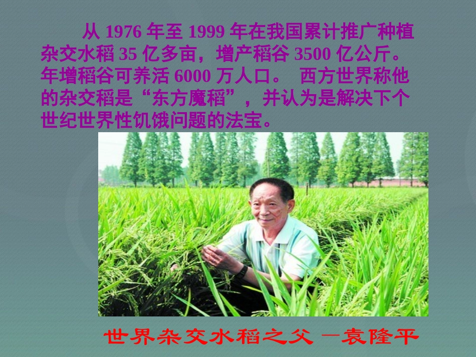 高中数学 24等比数列课件 新人教A版必修5 课件_第2页