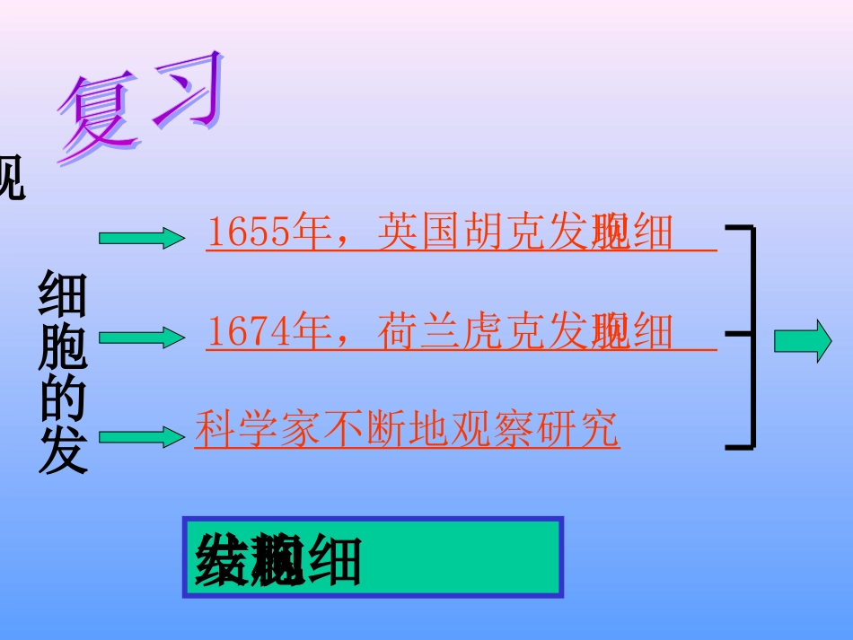 细胞的结构七年级生物上册 课件_第2页
