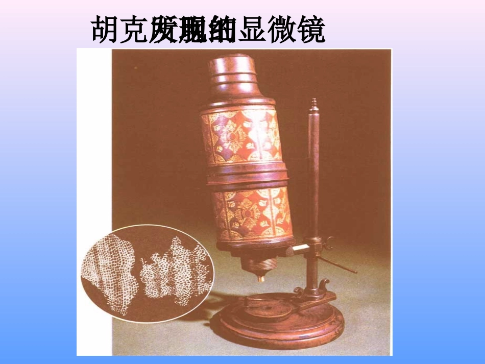 细胞的结构七年级生物上册 课件_第3页