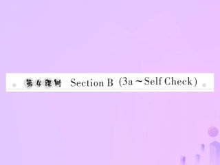 秋七年级英语上册 Unit 7 How much are these socks(第4课时)Section B(3a Self Check)习题课件 (新版)人教新目标版 课件