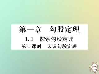 秋八年级数学上册 第1章 勾股定理 1.1 探索勾股定理 第1课时 认识勾股定理作业课件 (新版)北师大版 课件