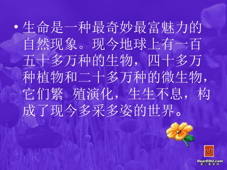 高一语文尊重生命课件 新课标 人教版 课件_第2页
