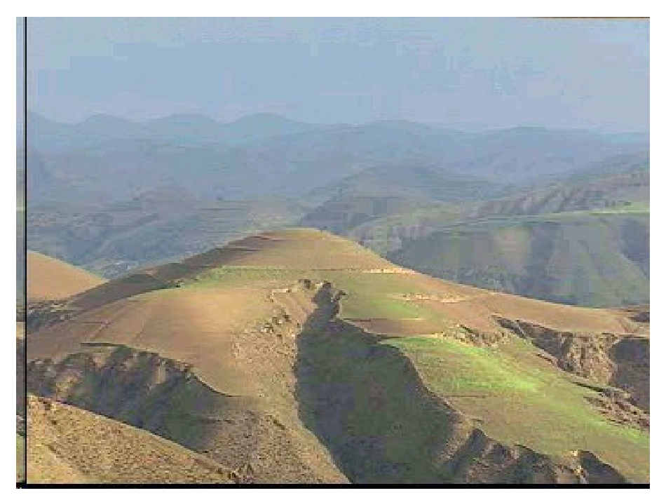 沪教版八年级语文腰鼓(ppt) 课件_第2页