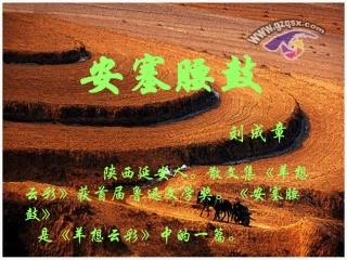 沪教版八年级语文腰鼓(ppt) 课件