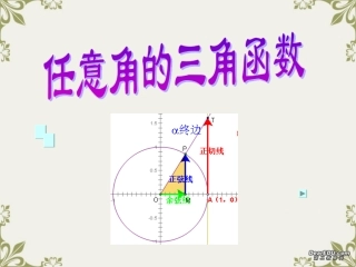 高一数学任意角的三角函数课件3 人教版 课件