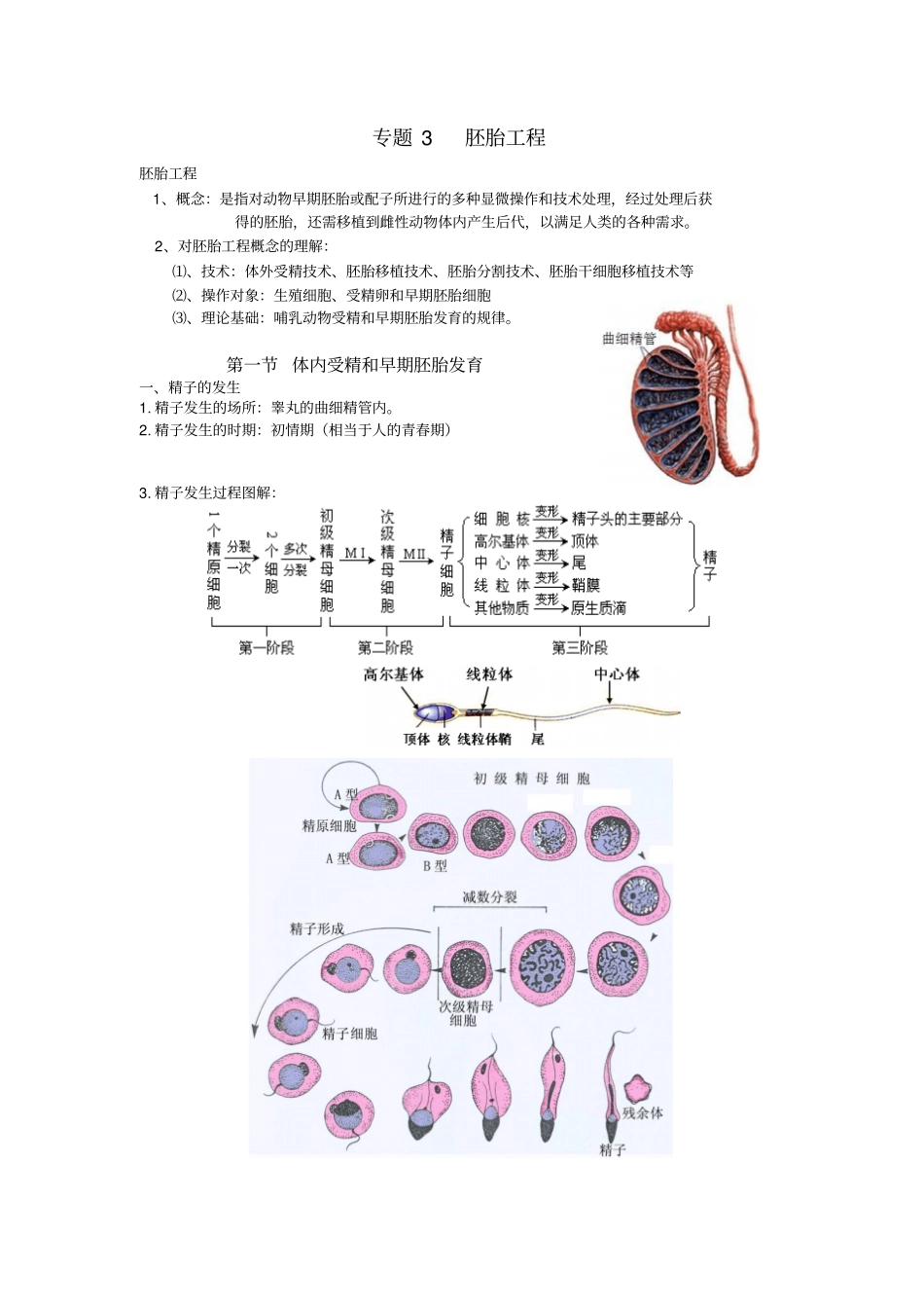 体内受精和早期胚胎发育学案汇总_第1页