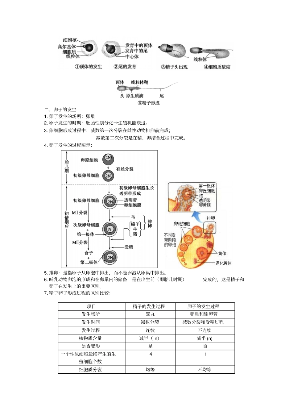 体内受精和早期胚胎发育学案汇总_第2页