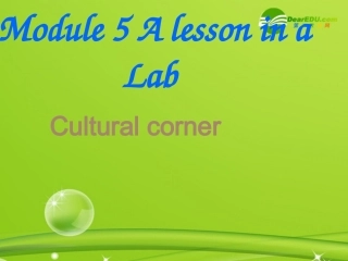 高中英语 module5 cultural corner课件 外研版必修1 课件