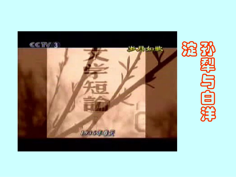 高一语文荷花淀 孙犁 课件_第2页