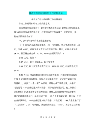 体改工作总结和明年工作安排意见【可编辑版】