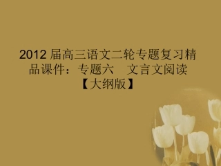 高三语文二轮专题复习 专题六 文言文阅读精品课件 大纲人教版 课件