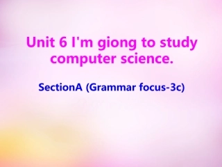秋八年级英语上册 Unit 6 I'm going to study computer science Section A(geammar focus 3c)课件 (新版)人教新目标版 课件