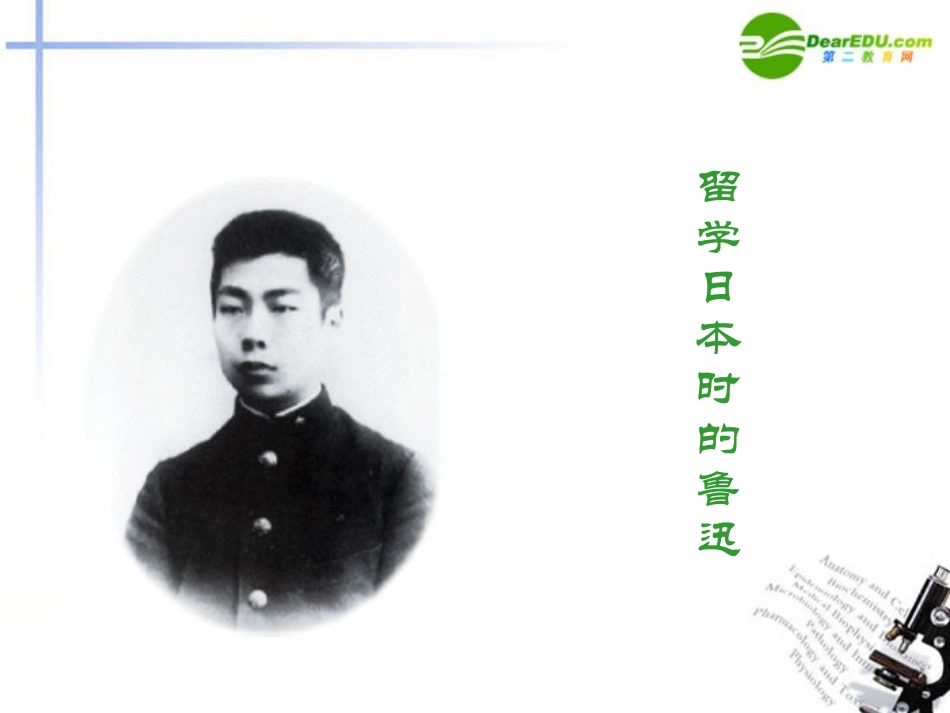 高一语文下册(拿来主义)课件 人教版第二册 课件_第2页