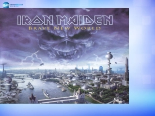 高中英语 Module 5 Cloning period 4课件 外研版选修6 课件