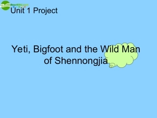 高中英语 M2U1--Project--新教材课件 牛津版必修2 课件