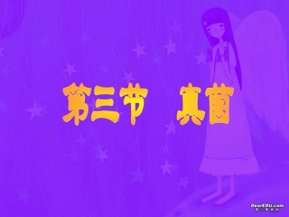 真菌八年级生物第五单元第四章第三节课件示例 课件