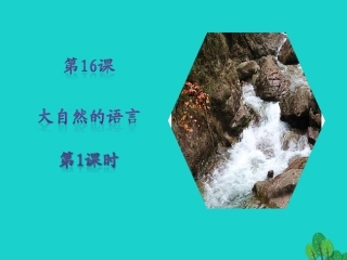 秋八年级语文上册 第四单元 第16课(大自然的语言)(第1课时)课件 新人教版 课件