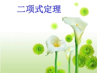 高三数学二项式定理复习课件