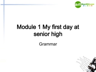 高中英语 Module1 Grammar课件 外研社版必修1 课件