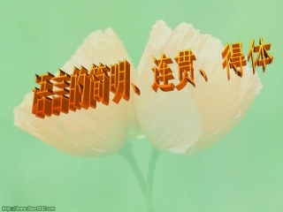 语言的简明 连贯 得体课件